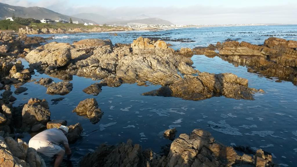 Strandloper Apartments Hermanus Exterior foto